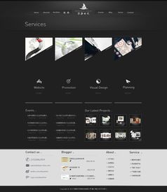 網(wǎng)站建設(shè)與數(shù)據(jù)處理服務(wù) 數(shù)字化時(shí)代的核心驅(qū)動力