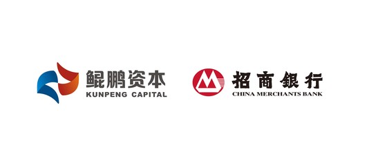 鯤鵬展翅，資本賦能——探析深圳市鯤鵬招銀國資改革與戰略發展股權投資基金的投資咨詢價值
